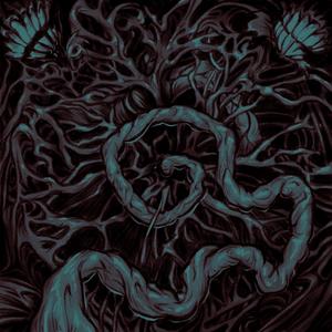 Umbilical Cord (Explicit)