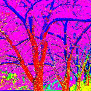 sunsets (feat. another bag of bones) (Explicit)