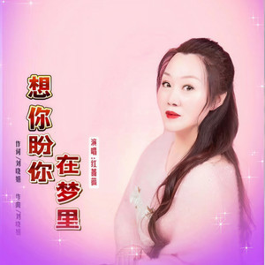 想你盼你在梦里