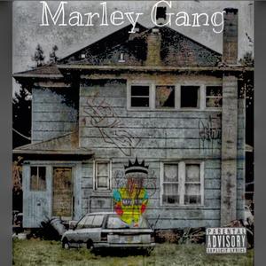 King From The Dotte (Explicit)