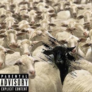 Blacc Sheep