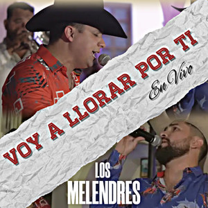 Voy a Llorar por Ti (En Vivo)