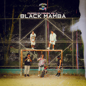 PERREO DE COMUNA VOL.1: BLACK MAMBA (Explicit)