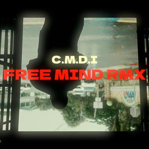 Free Mind (Remix) [Explicit]