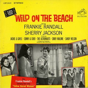 Wild On the Beach (Original Motion Picture Soundtrack) (狂野沙滩 电影原声带)