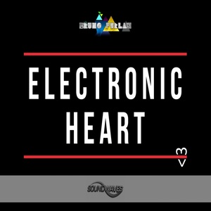 Electronic Heart