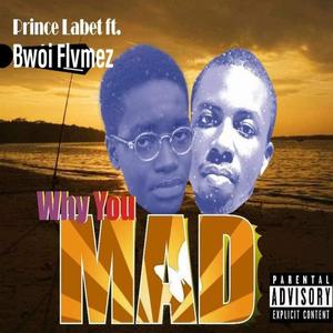 Why you mad (feat. Prince labet) [Explicit]