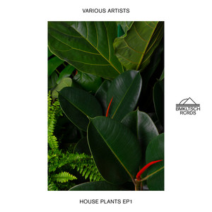 House Plants 1 - EP (Extended)