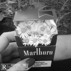 Nicotine (feat. Roan) (Explicit)