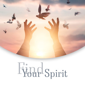 Find Your Spirit