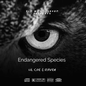 Endangered Species (Explicit)