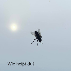 Wie heiβt du?