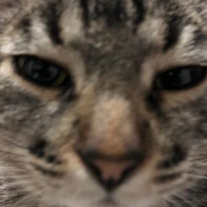 PONYPONY (feat. Hydropai) (Explicit)