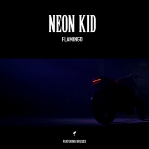 NEON KID - Flamingo