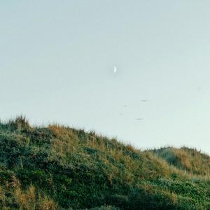 Remember Everything (feat. jxsn)