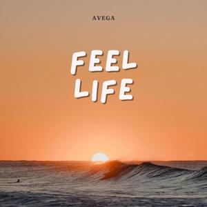 feel life (Explicit)