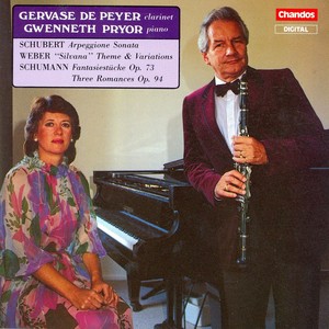 Arpeggione Sonata in A Minor, D. 821 (arr. G. De Peyer) - I. Allegro moderato