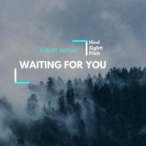 Waiting For You (Original Mix)