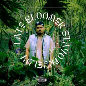 Late Bloomer (Explicit)