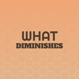 What Diminishes