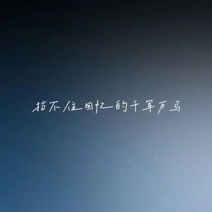 挡不住回忆的千军万马