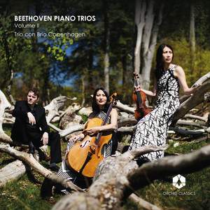 Beethoven Piano Trios, Vol. 2