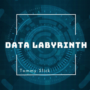 Data Labyrinth