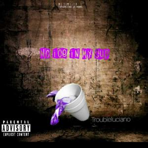 No Ice in My Cup (Explicit)