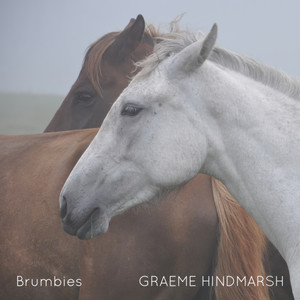 Brumbies