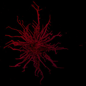 Hostage (Alternate Version|Instrumental)