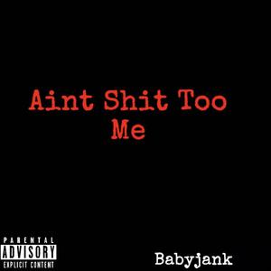 Aint **** Too Me (Explicit)