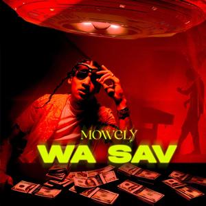 WA SAV (Explicit)