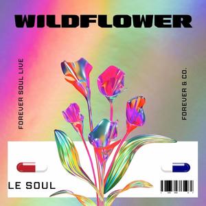 WILDFLOWER (Explicit)