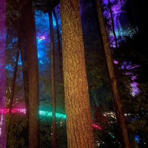 Old Fashioned (feat. CHA$LOU$ & Javier) (Explicit)