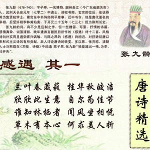 琵琶行-儿童陪伴精选