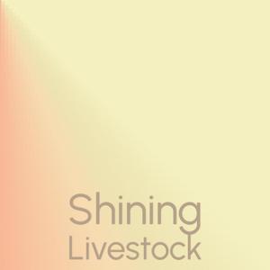 Shining Livestock