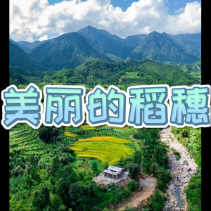 你的样子 (甜心版)