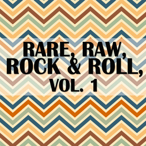 Rare, Raw, Rock & Roll, Vol. 1