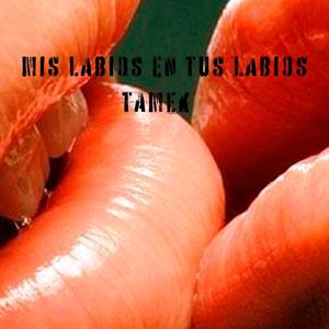 Mis labios en tus labios