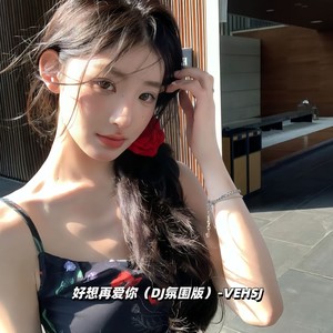 好想再爱你 (DJ氛围版)