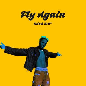 Fly Again