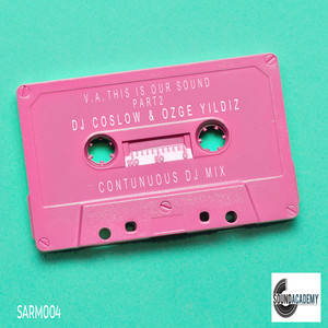 This Is Our Sound, Pt. 2 (Continuous DJ Mix)