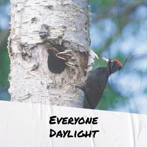 Everyone Daylight