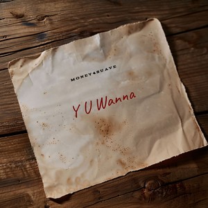 Y U Wanna (Explicit)
