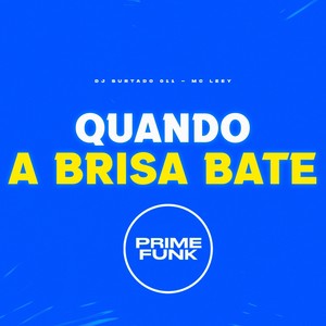 DJ Surtado 011 - Quando a Brisa Bate (Explicit)
