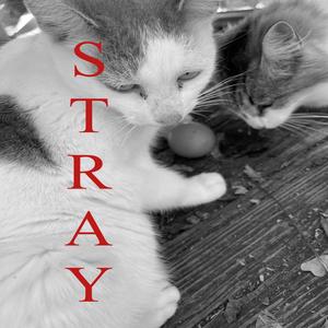 Stray (Explicit)