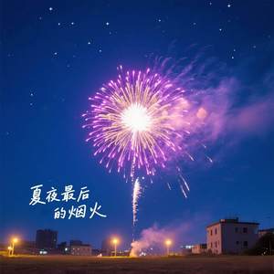 夏夜最后的烟火 (可以脆弱可以是不完美的)-梵高Oiez