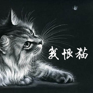 我恨猫