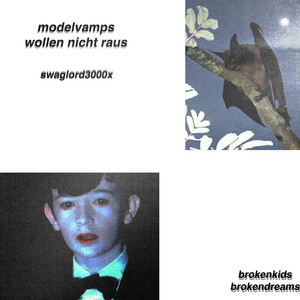 modelvamps wollen nicht raus (Explicit)