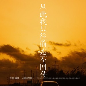 从此我只往前走不回头 (烟嗓男版)